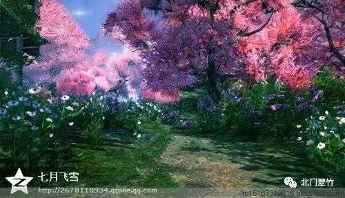 探索知识星球-花心的男人最好交还是不交人们的智慧交流平台
